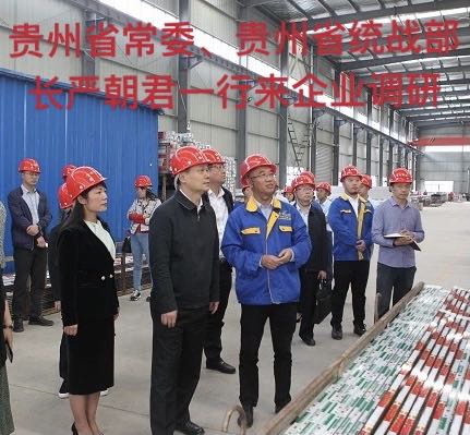 貴州省常委、貴州省統(tǒng)戰(zhàn)部長嚴朝君一行來企業(yè)調(diào)研